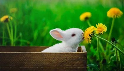 中超球队进攻空间利用效率对比报告，中超 客场进球