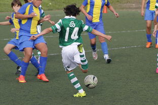 体育新闻中心发布体育内容原创度评估智能工具，原创体育sports